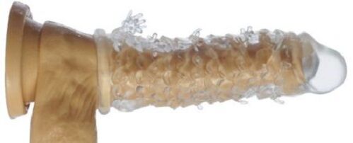 handitzeko zakila eranskina